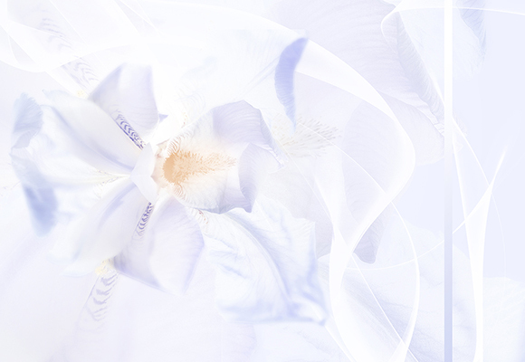 圖案趨勢(shì)：霧隱春色