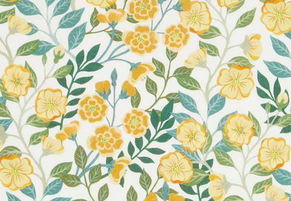 面輔料速遞：夏日花園