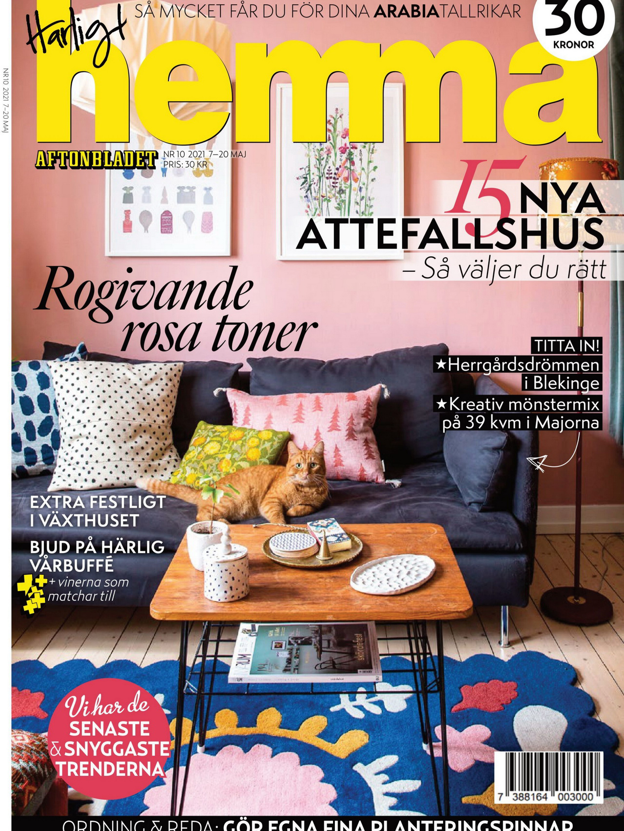 《Harligt Hemma》瑞典时尚家居设计杂志2021年05月号