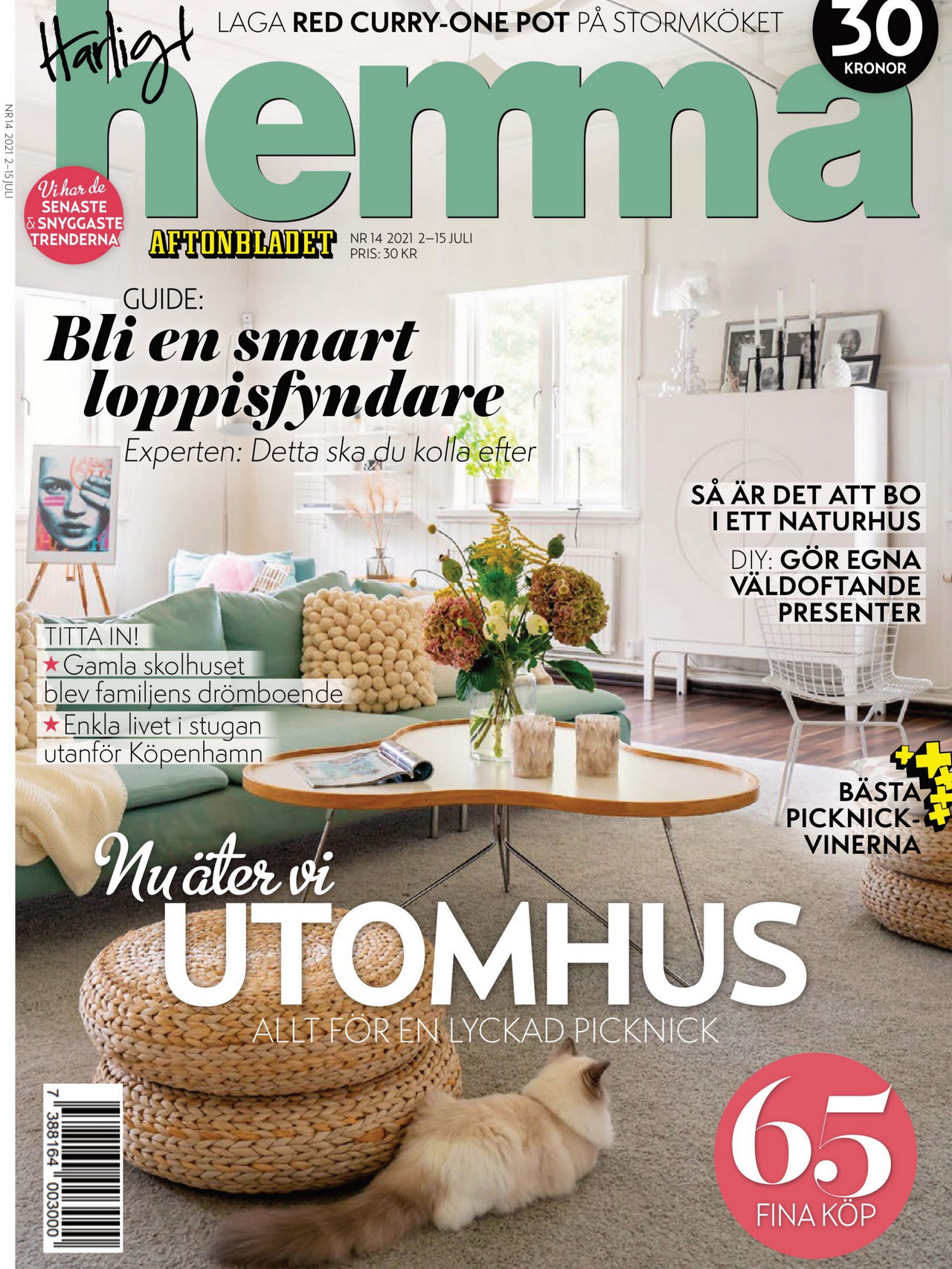 《Harligt Hemma》瑞典时尚家居设计杂志2021年07月号（上）