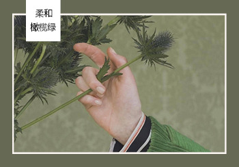 19/20秋冬家紡關鍵色彩推薦&mdash;柔和橄欖綠