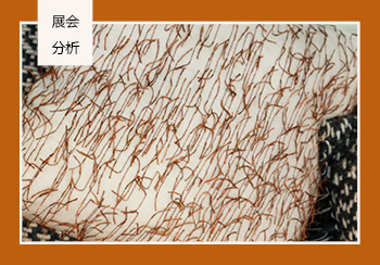 2020春夏（Heimtextil）法蘭克福家用紡織品展會分析--工藝