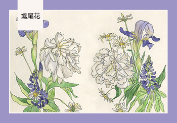 2021春夏家紡關鍵花型推薦--鳶尾花（矢量）