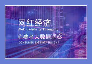 網紅經濟--消費者大數據洞察