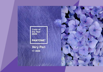 PANTONE（潘通）2022年度代表色--长春花蓝
