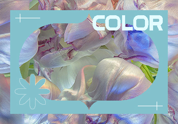 2024春夏真絲面料色彩趨勢預測 -- 自然流光