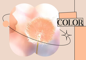 PANTONE（潘通）2024年度代表色 -- Peach Fuzz 柔和桃