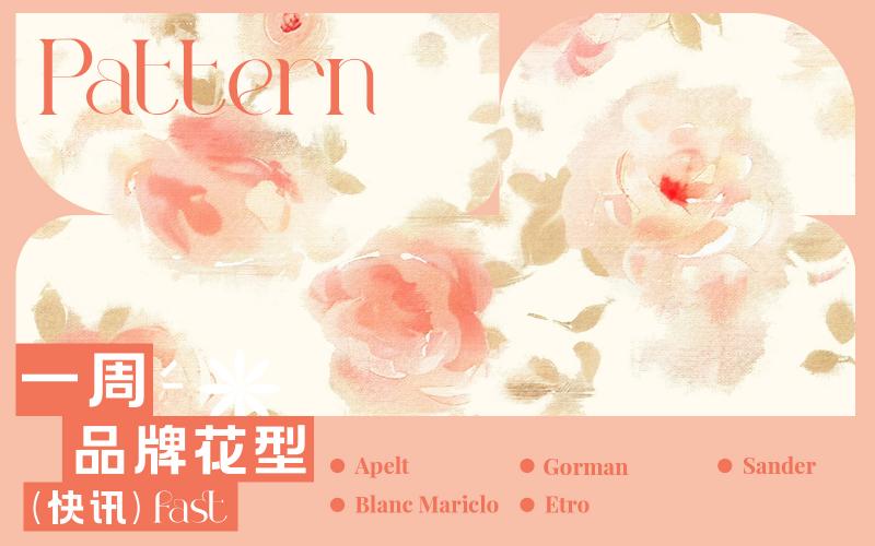 一周品牌花型快訊（矢量）