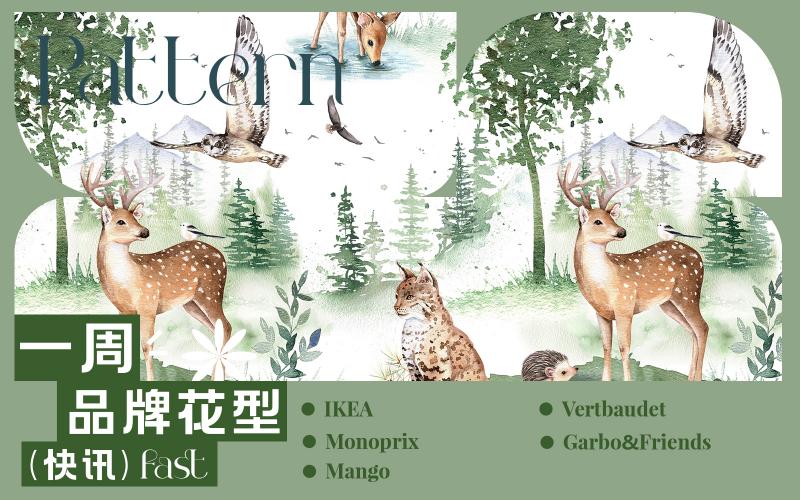 一周品牌花型快訊（矢量）