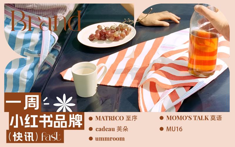 小紅書熱門品牌快訊