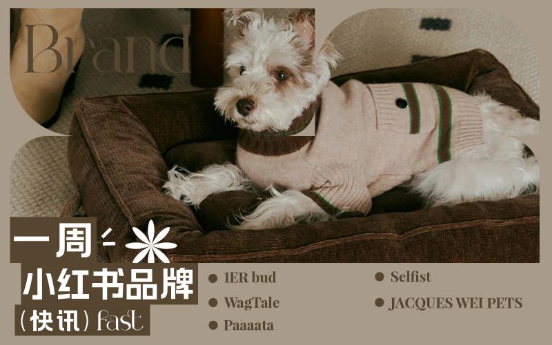 小紅書熱門品牌快訊