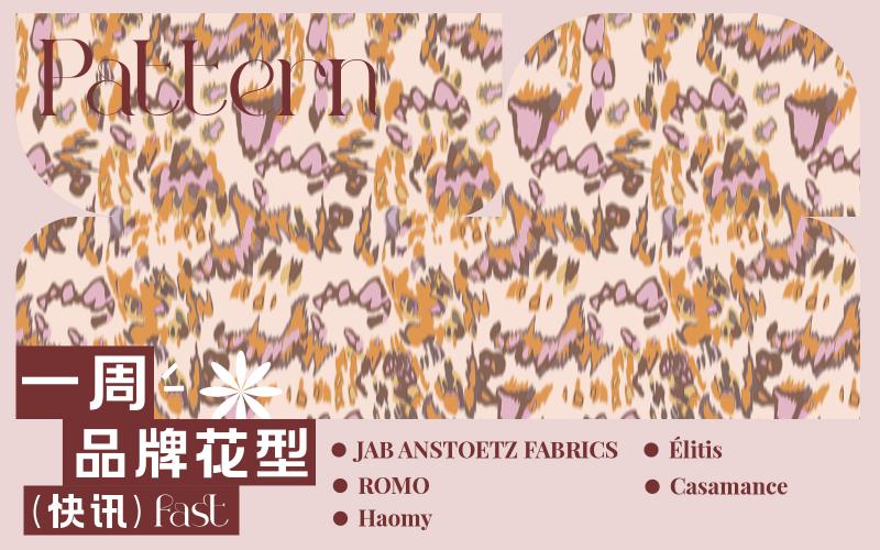 一周品牌花型快訊（矢量）