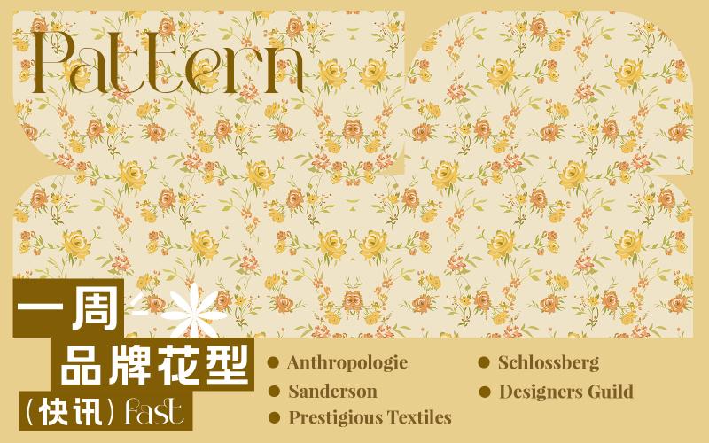 一周品牌花型快訊（矢量）