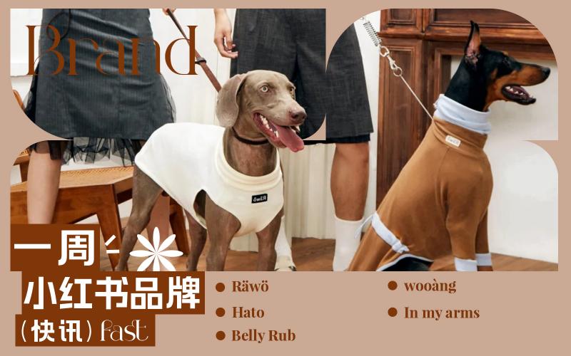 小紅書熱門品牌快訊