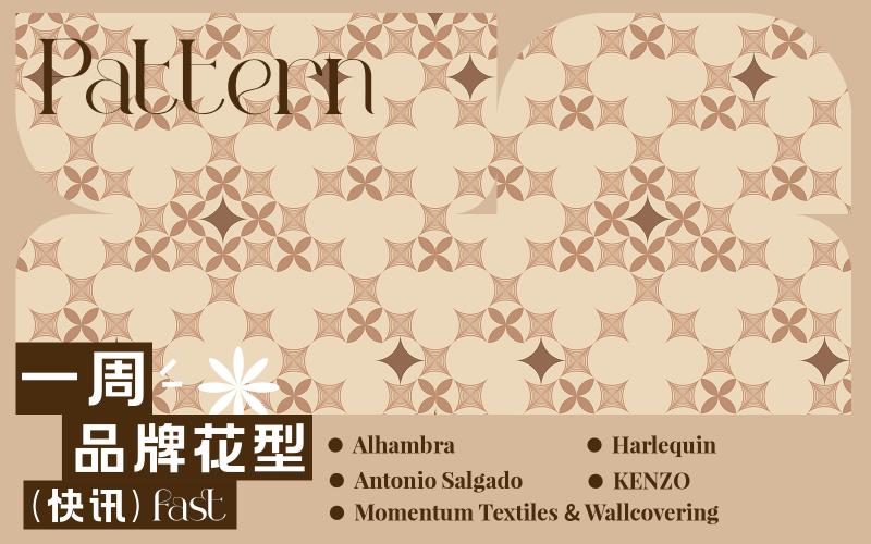 一周品牌花型快訊（矢量）