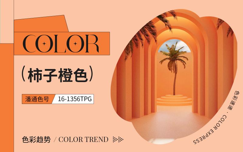 色彩速遞 | 柿子橙色