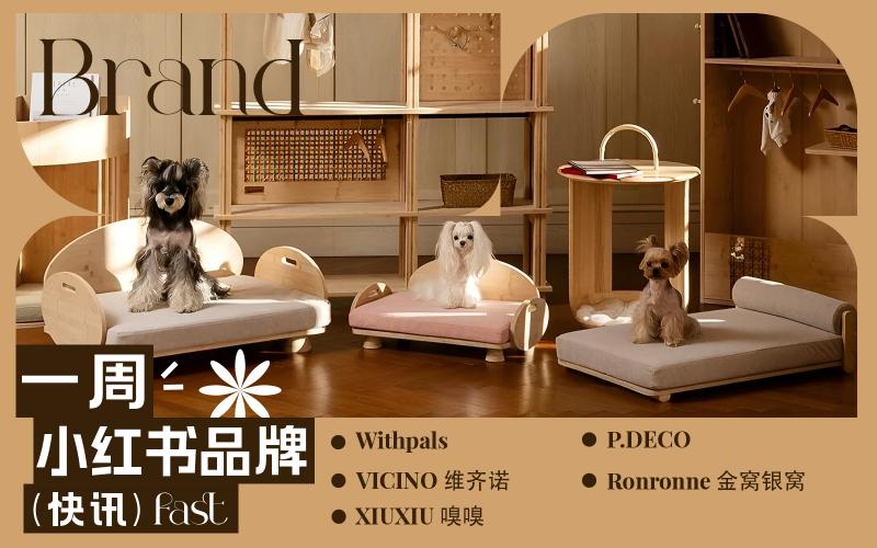 小紅書熱門品牌快訊