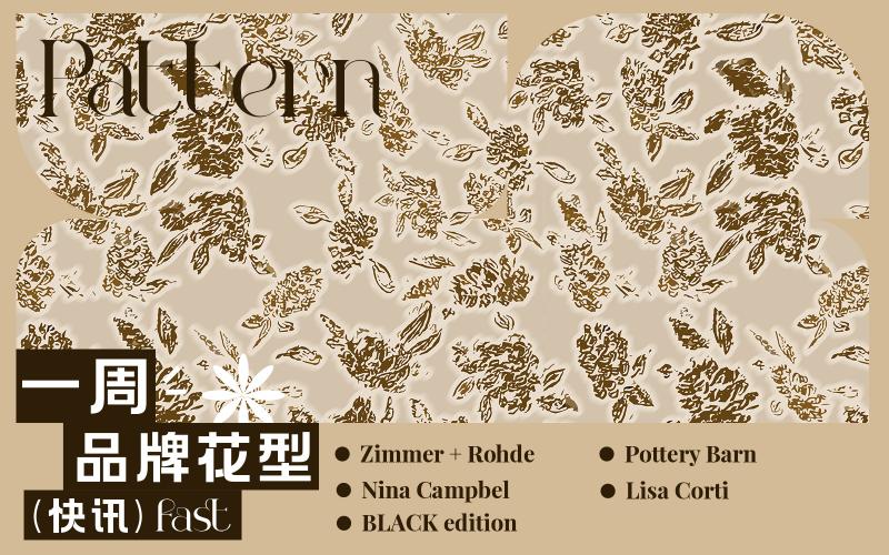 一周品牌花型快訊（矢量）