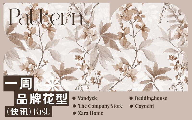 一周品牌花型快訊（矢量）